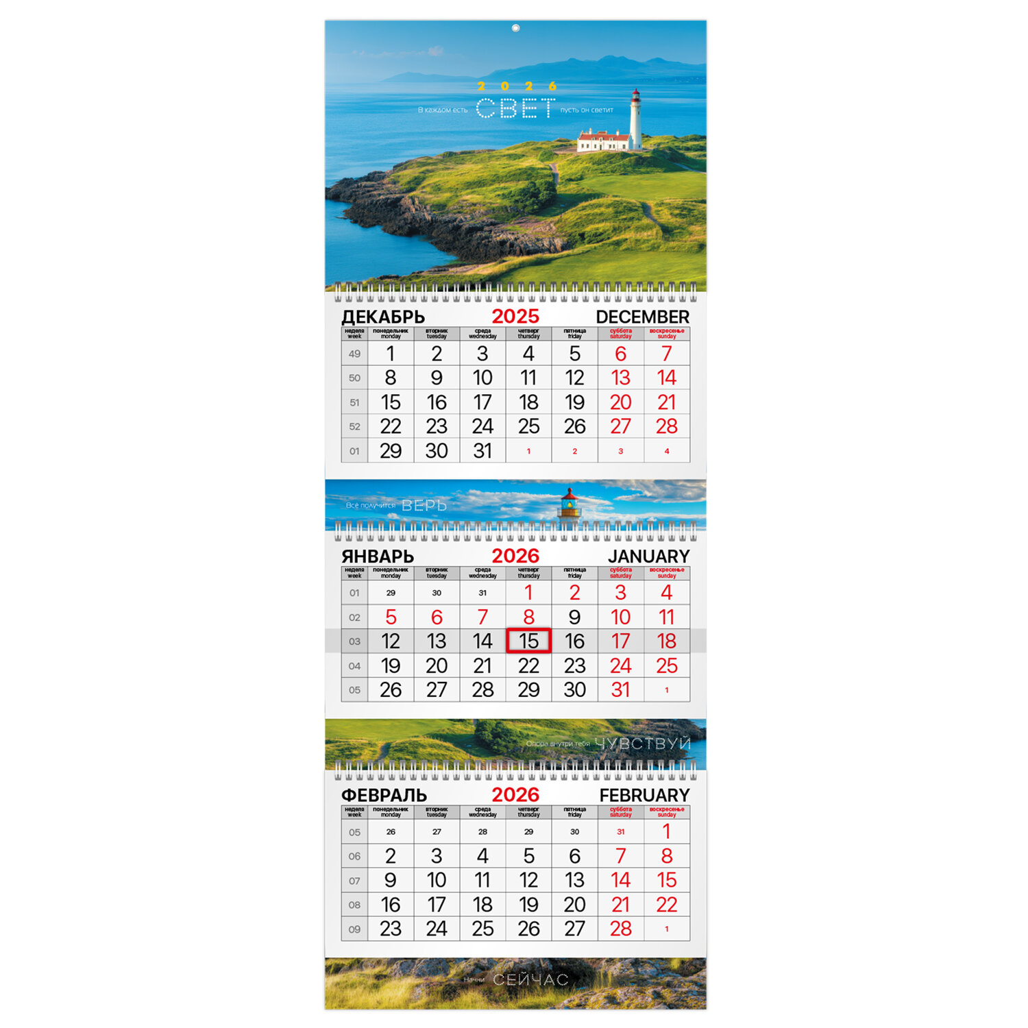 ��������� BRAUBERG 116819