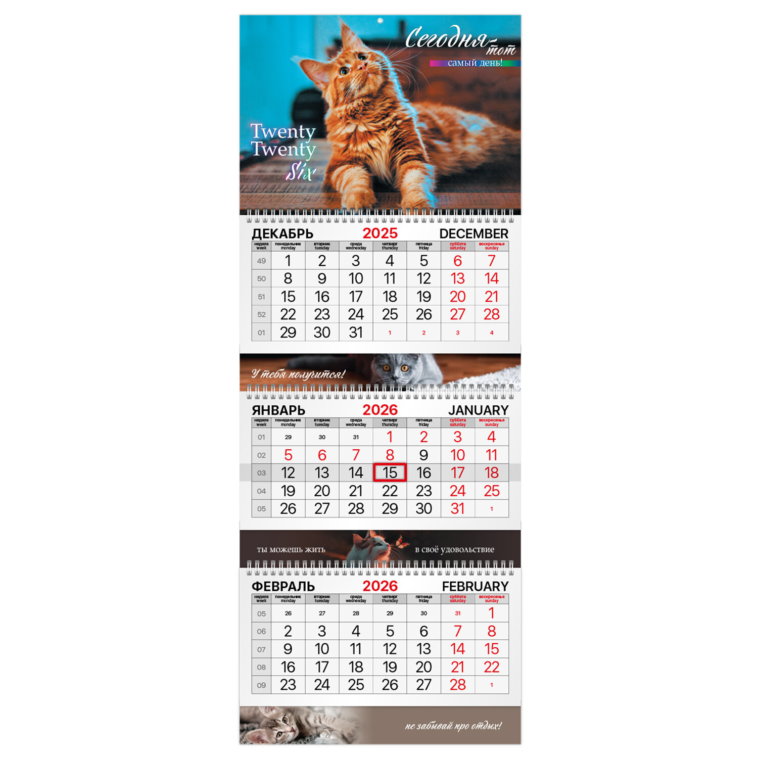 ��������� BRAUBERG 116824