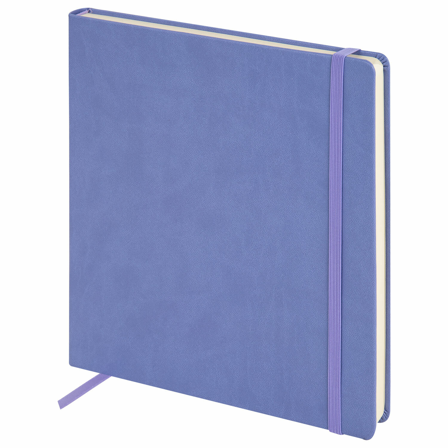 , BRAUBERG ART 116881
