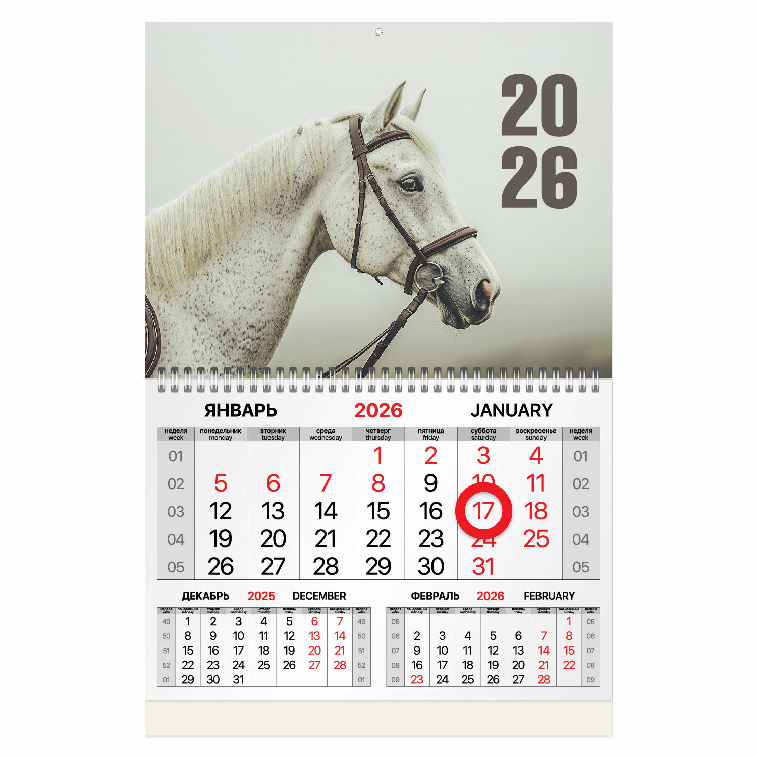 ��������� BRAUBERG 116912