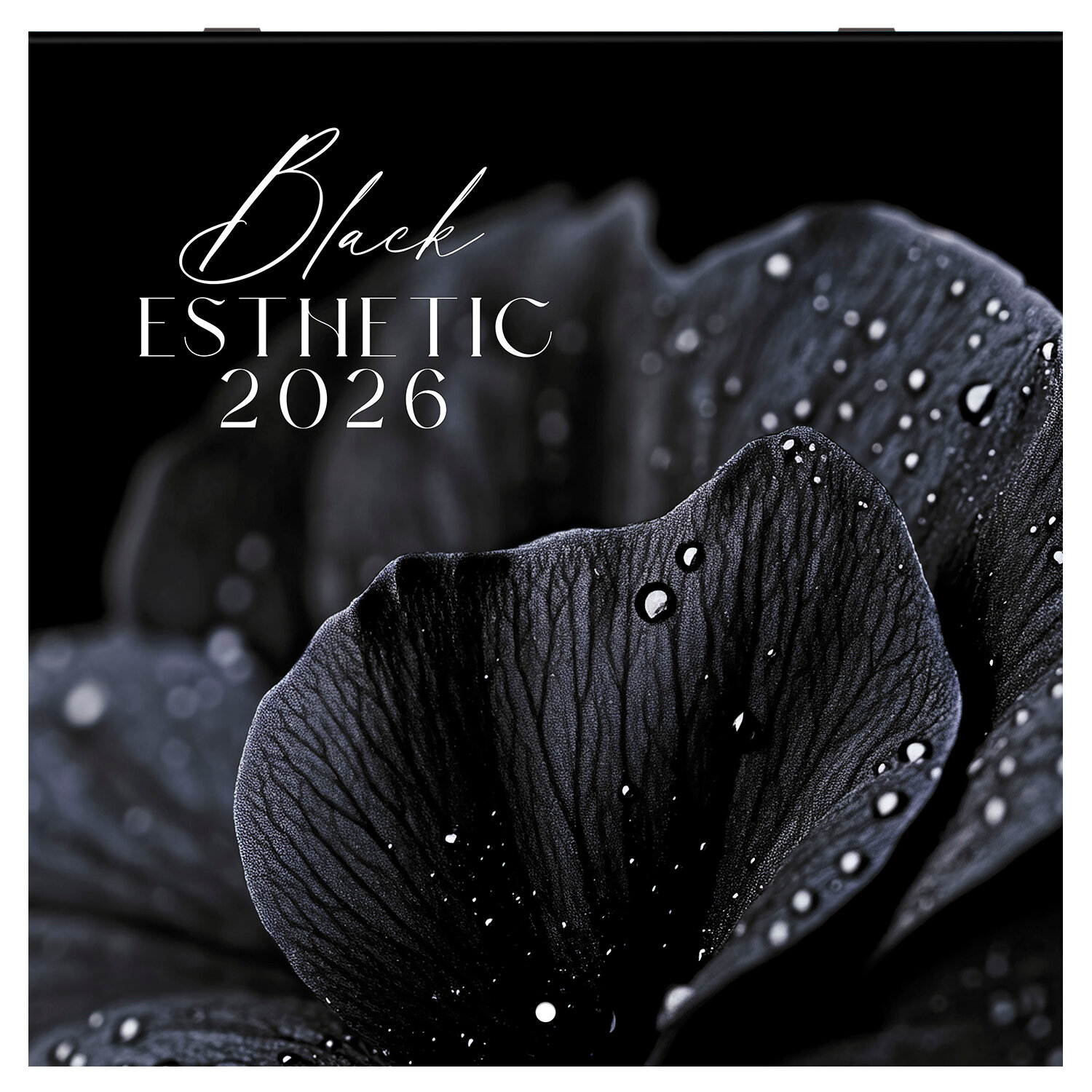 ��������� BRAUBERG 116927