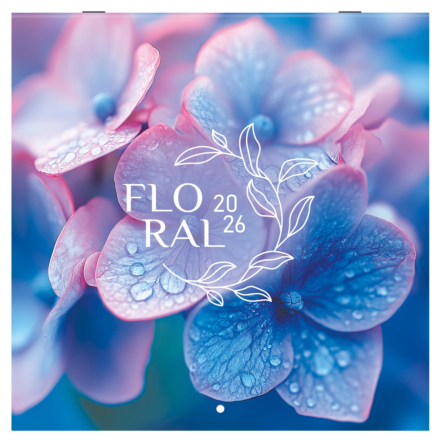 ��������� BRAUBERG 116939