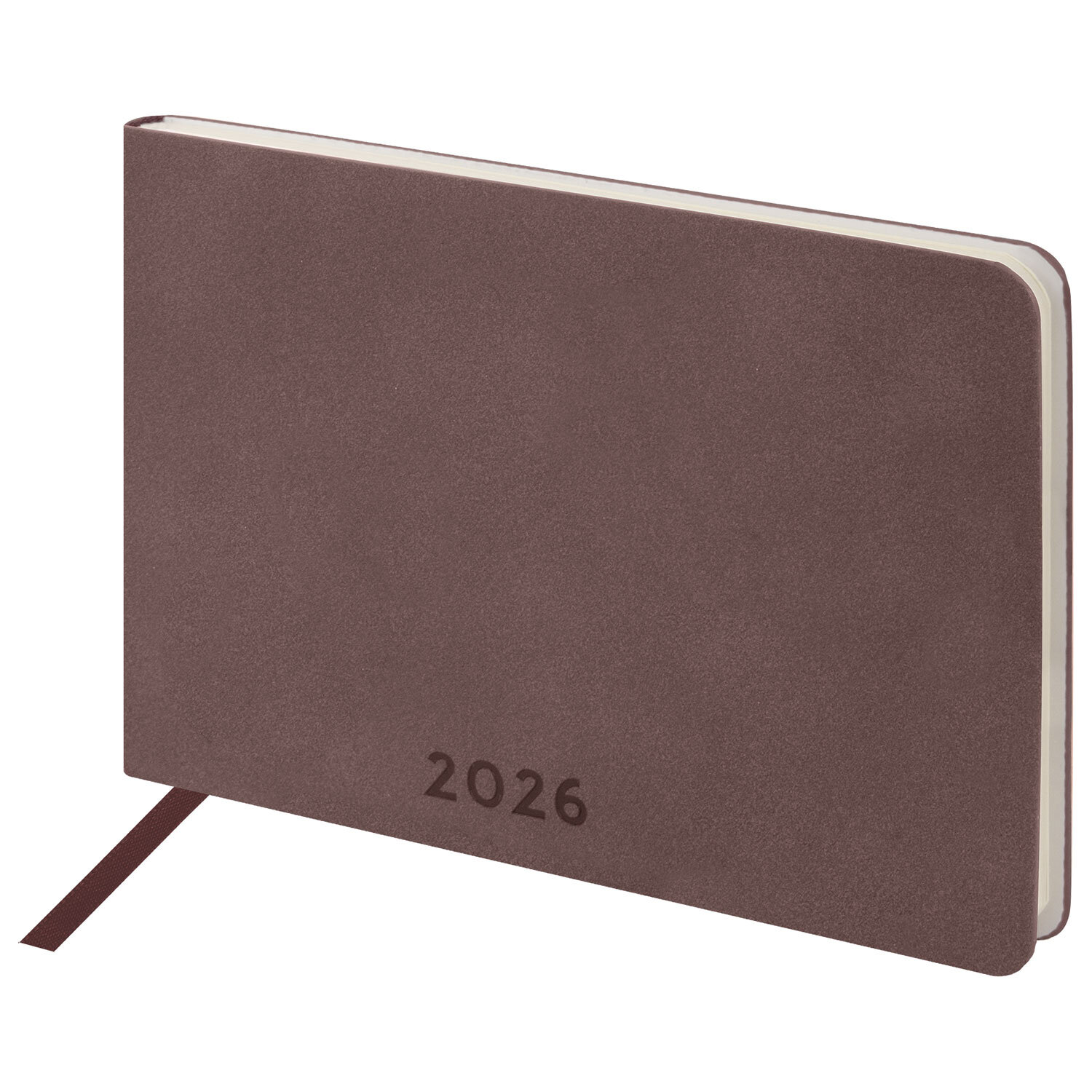 ������������ BRAUBERG 117207