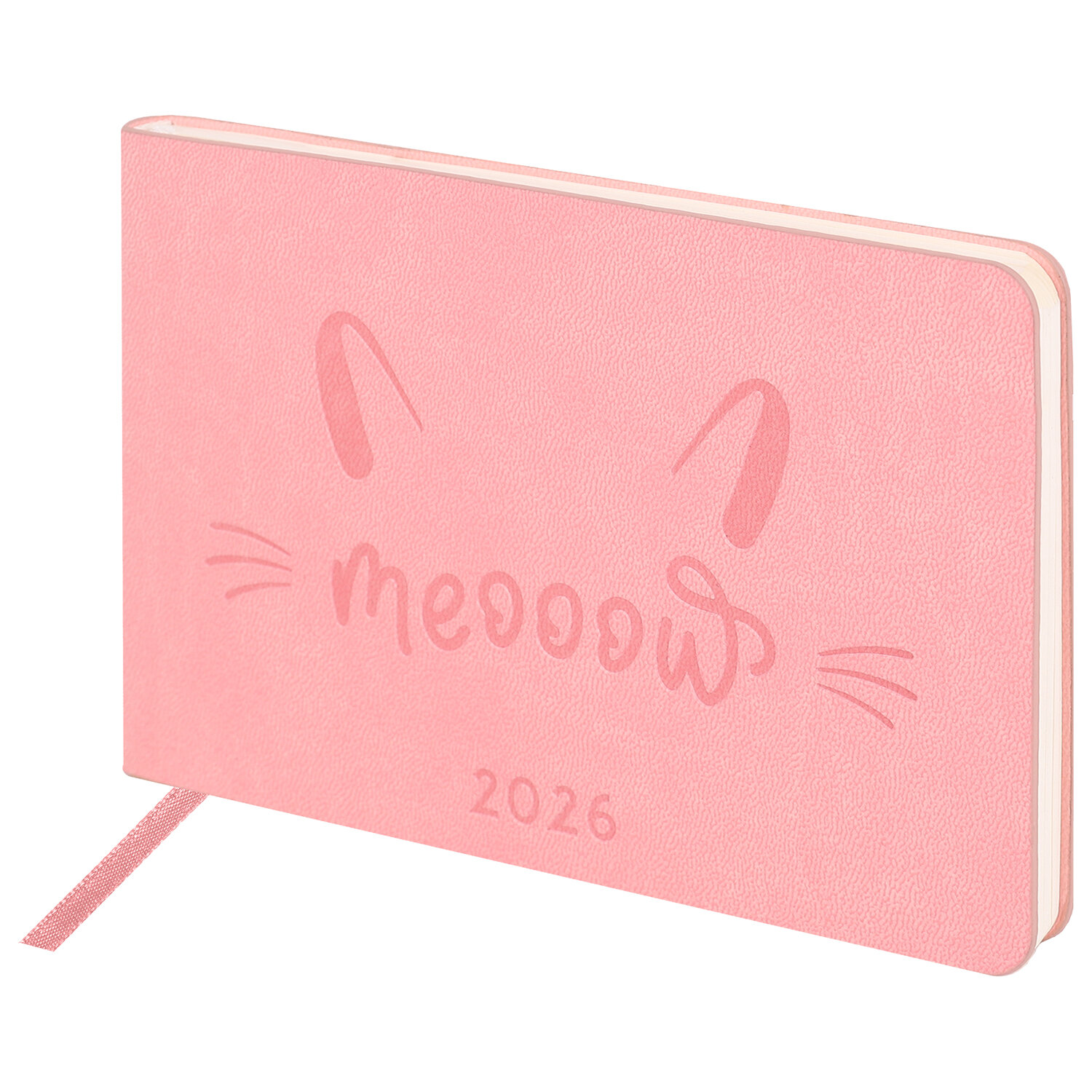 ������������ BRAUBERG 117213