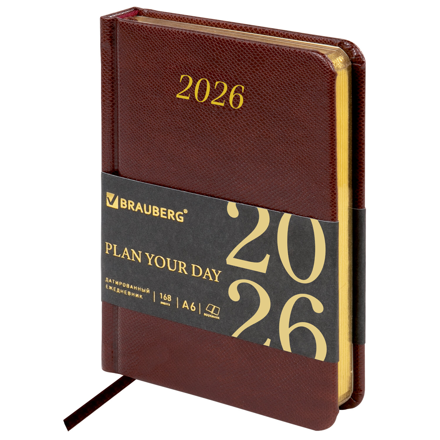 ���������� BRAUBERG 117253