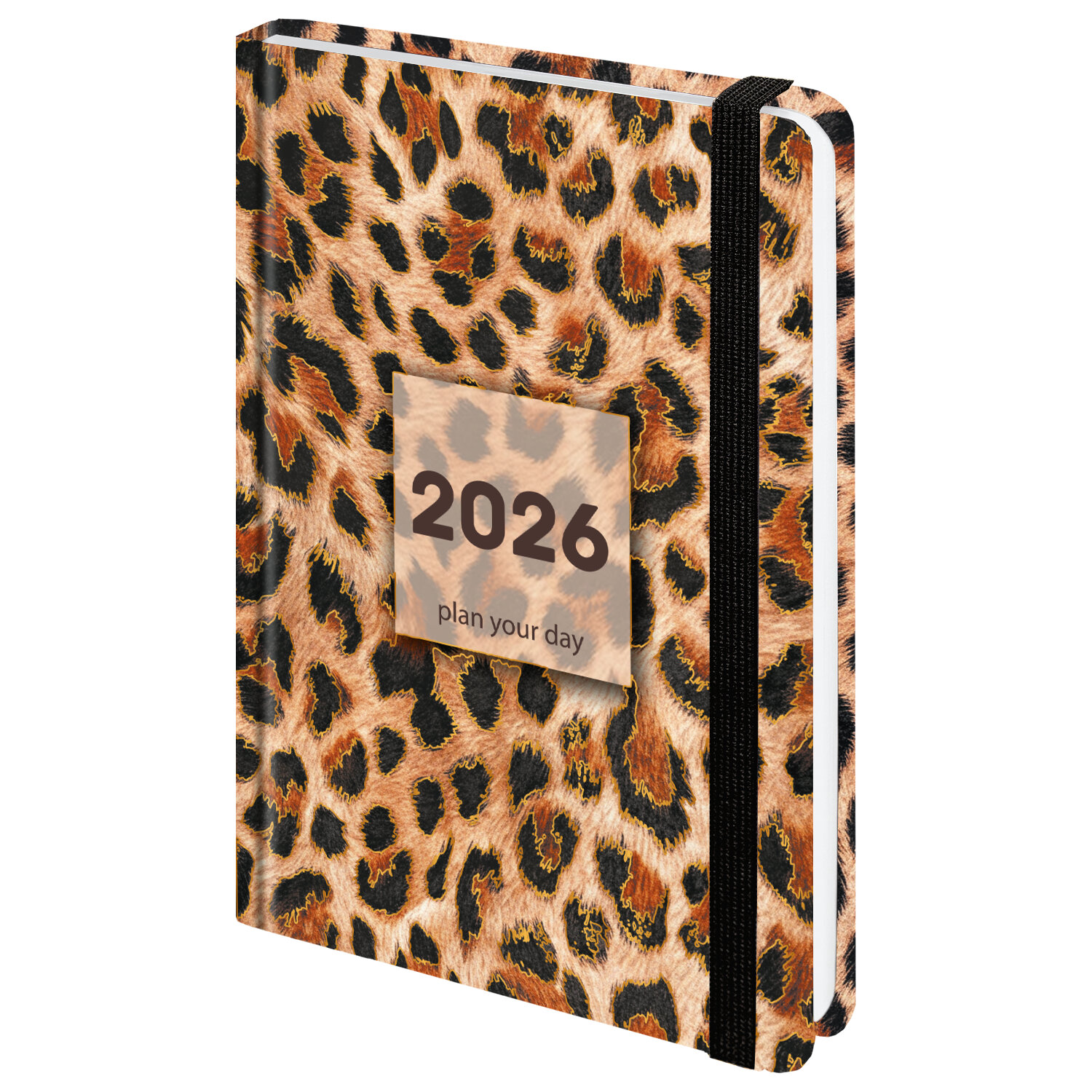  BRAUBERG 117334