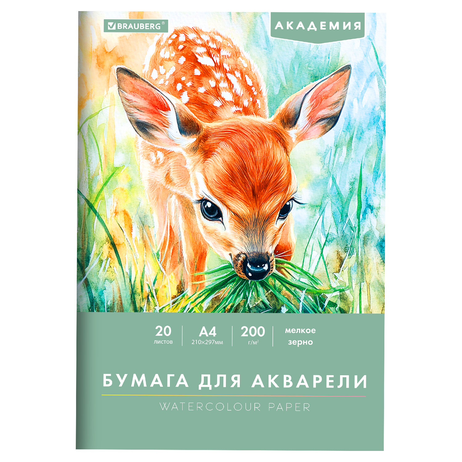 ����� BRAUBERG 117746