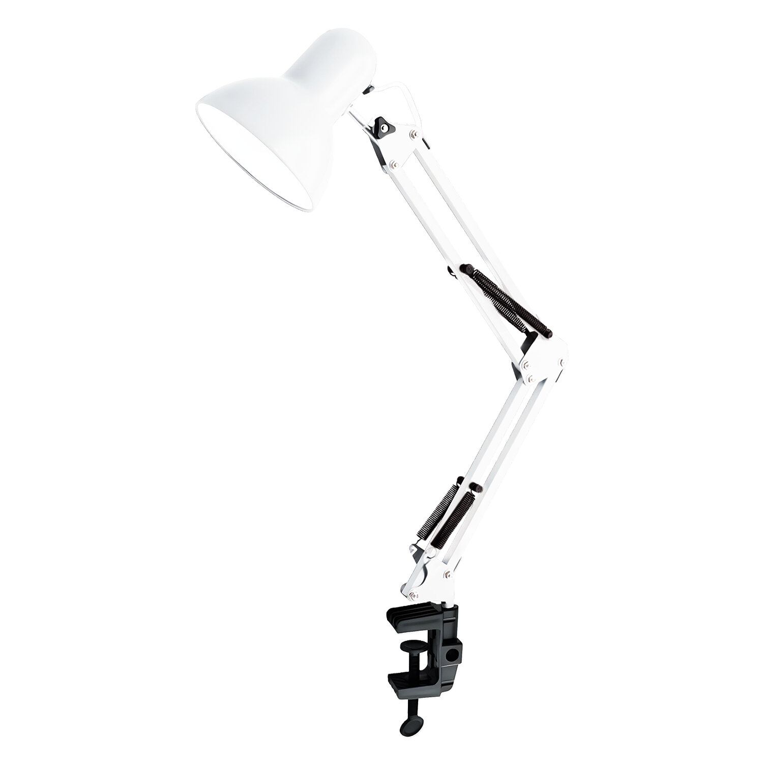  SONNEN 237649