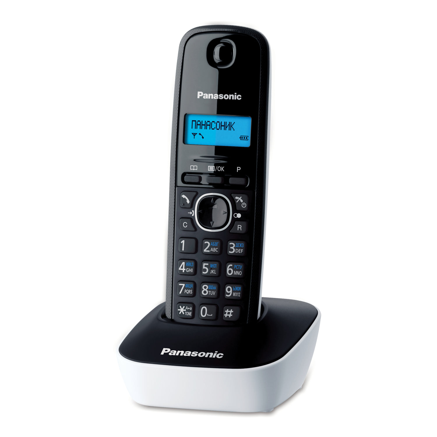  PANASONIC 260481