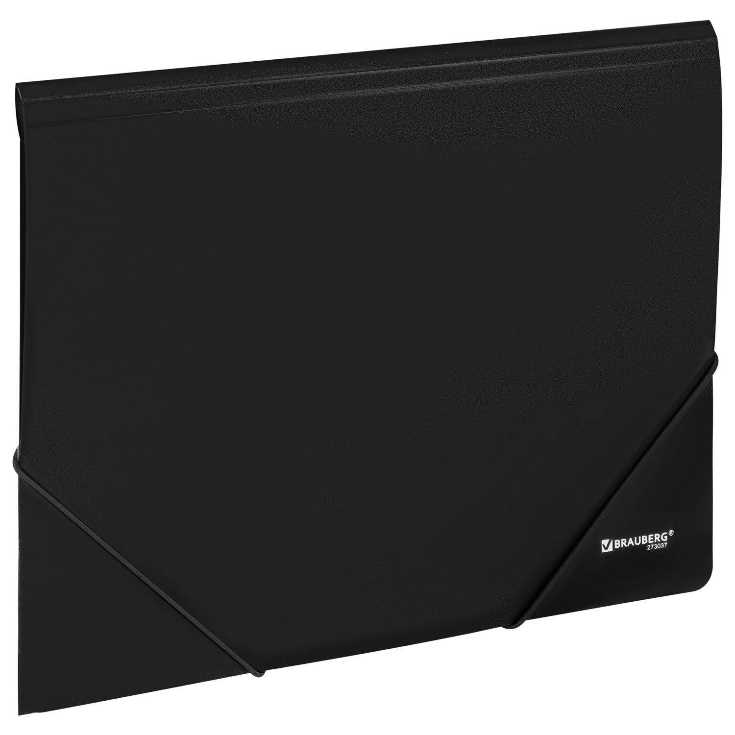����� BRAUBERG 273038