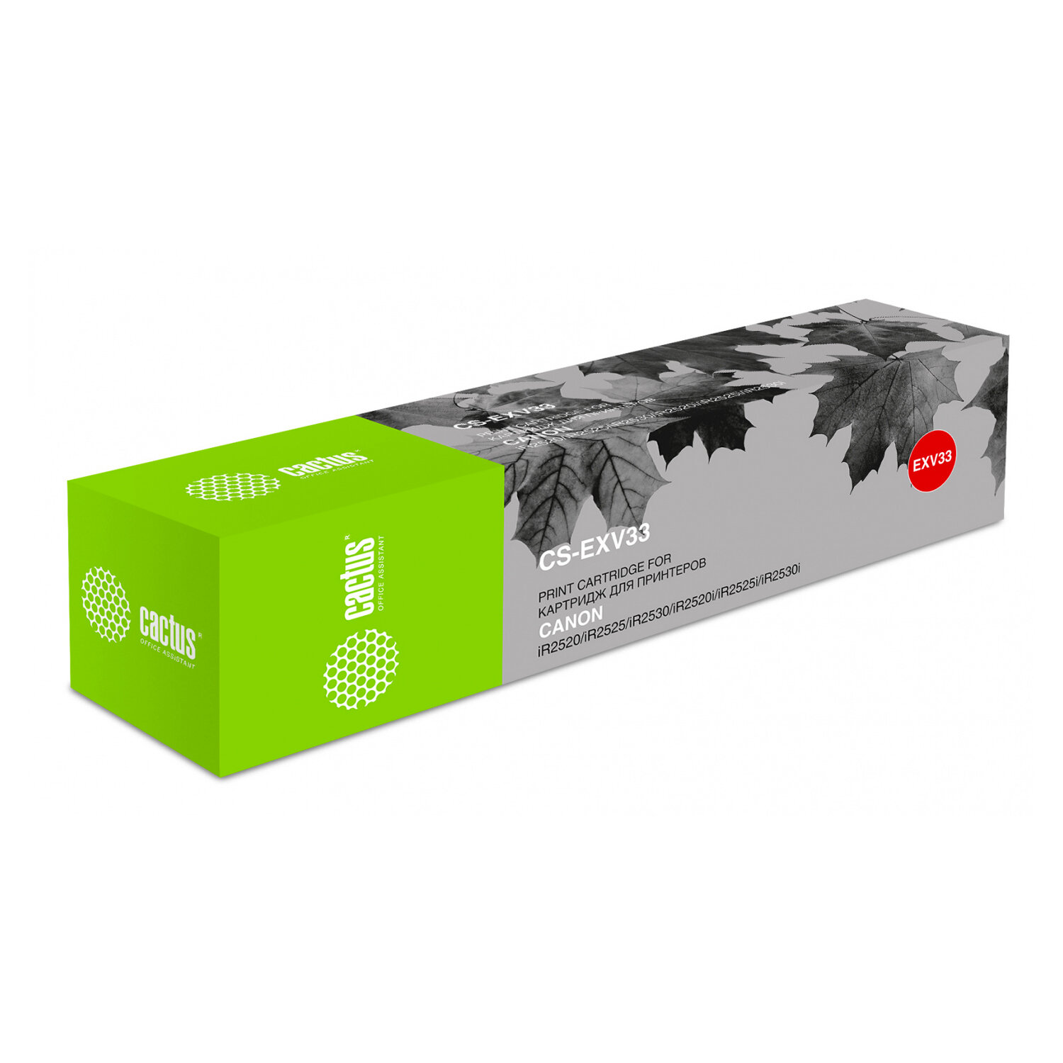  CACTUS 320795