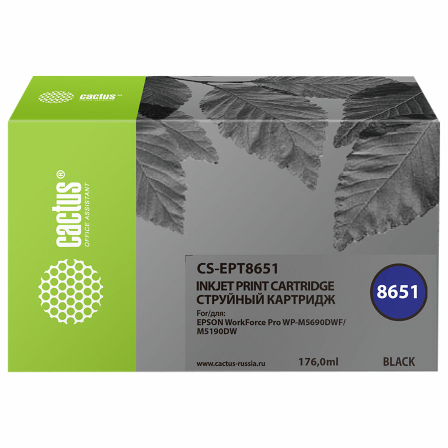  CACTUS 364177