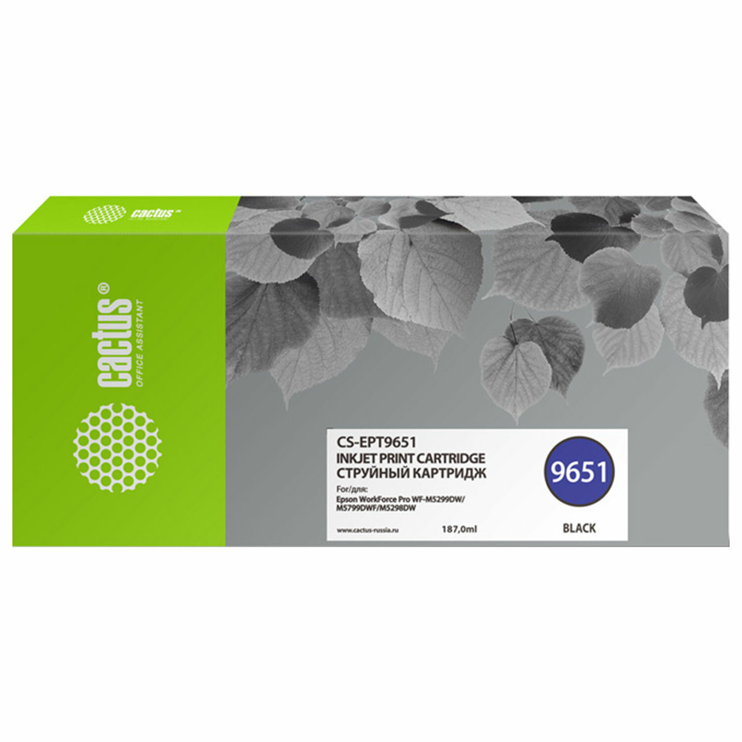 CACTUS 364178