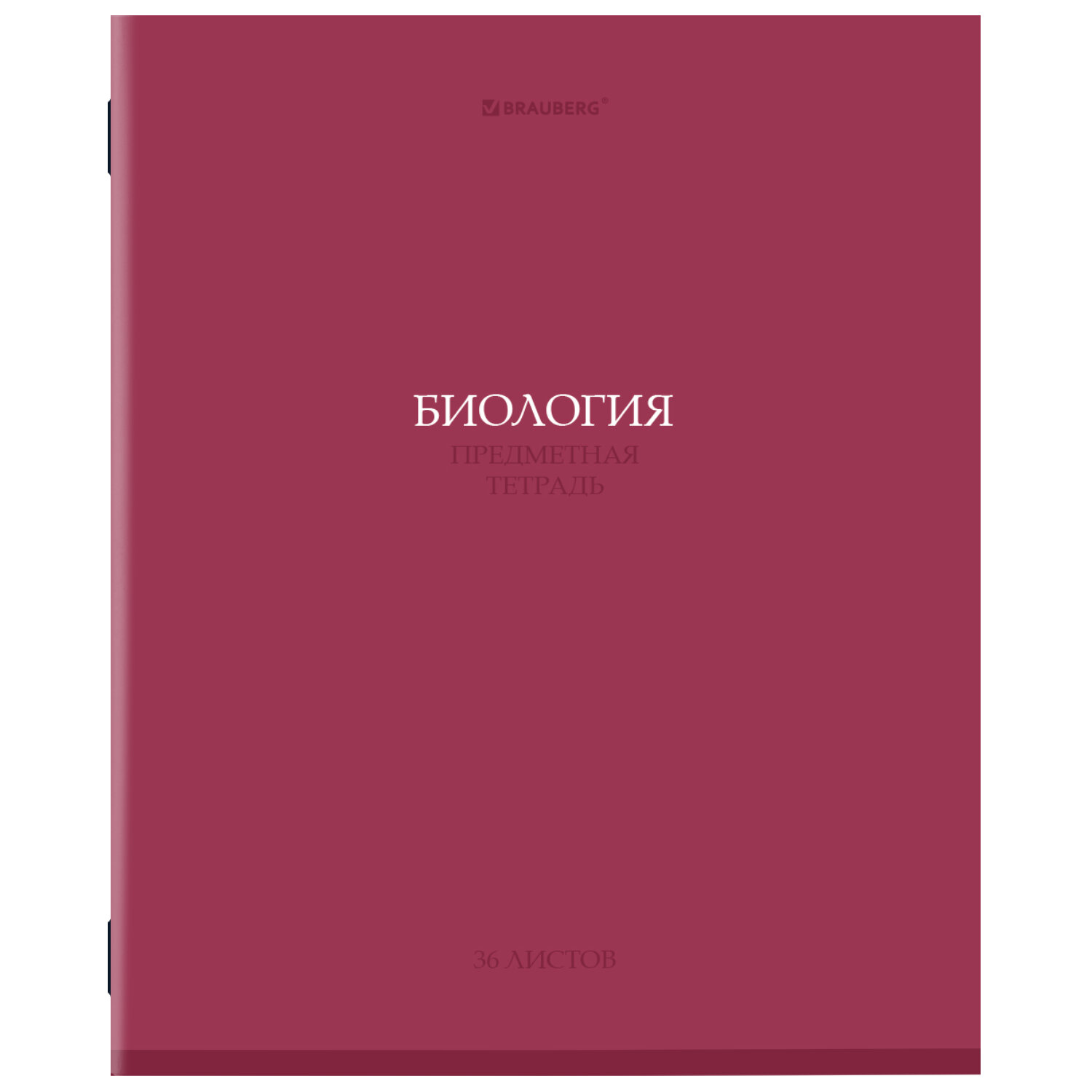 Тетрадь BRAUBERG 405072