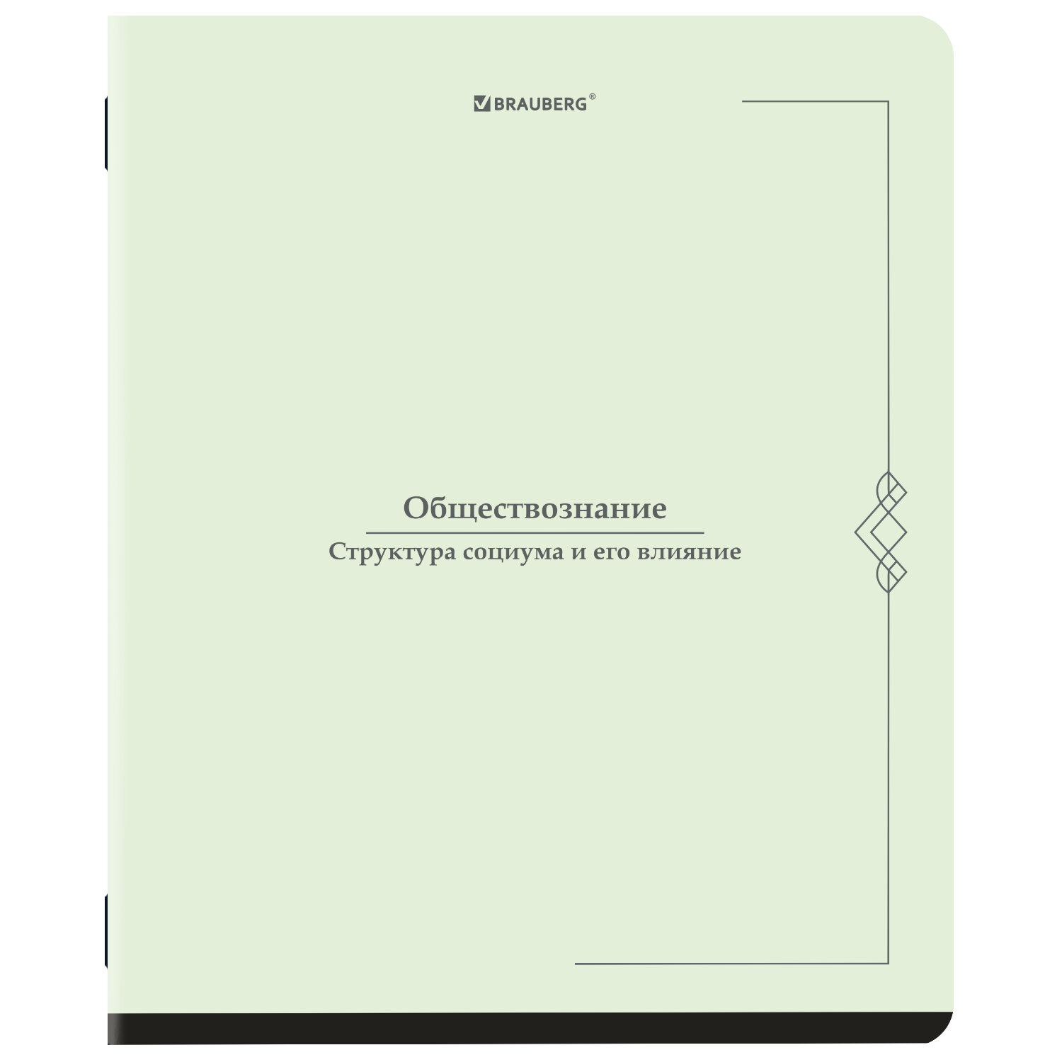Тетрадь BRAUBERG 405149