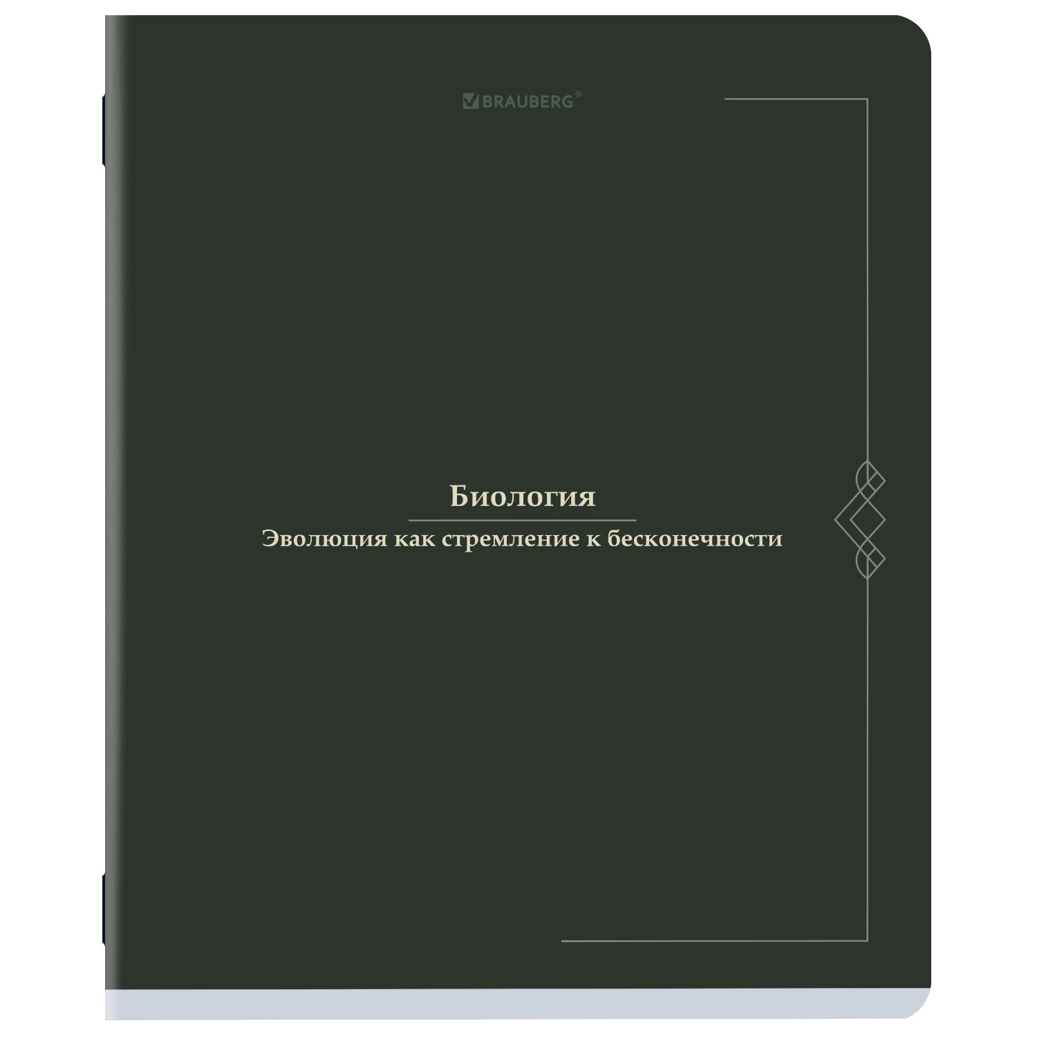 Тетрадь BRAUBERG 405151