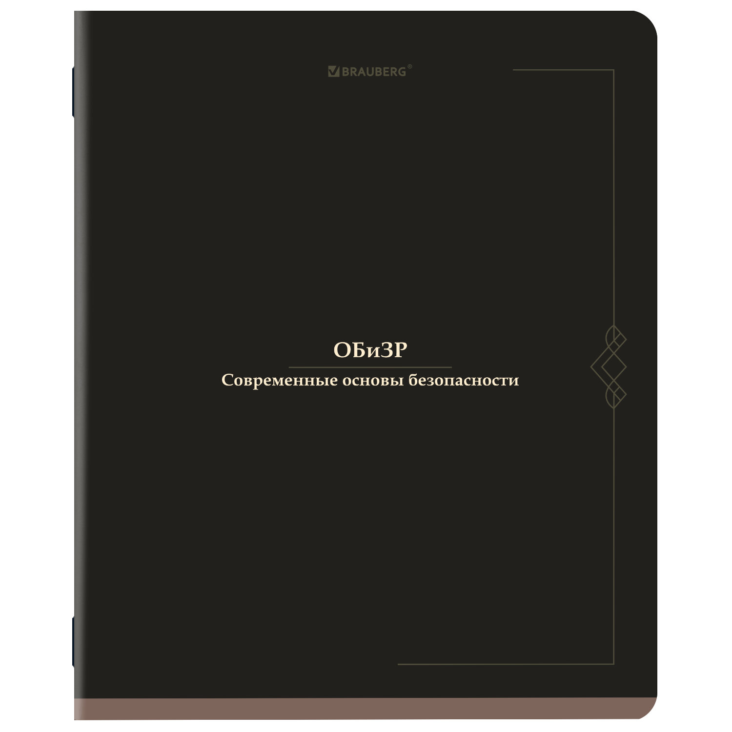 Тетрадь BRAUBERG 405160