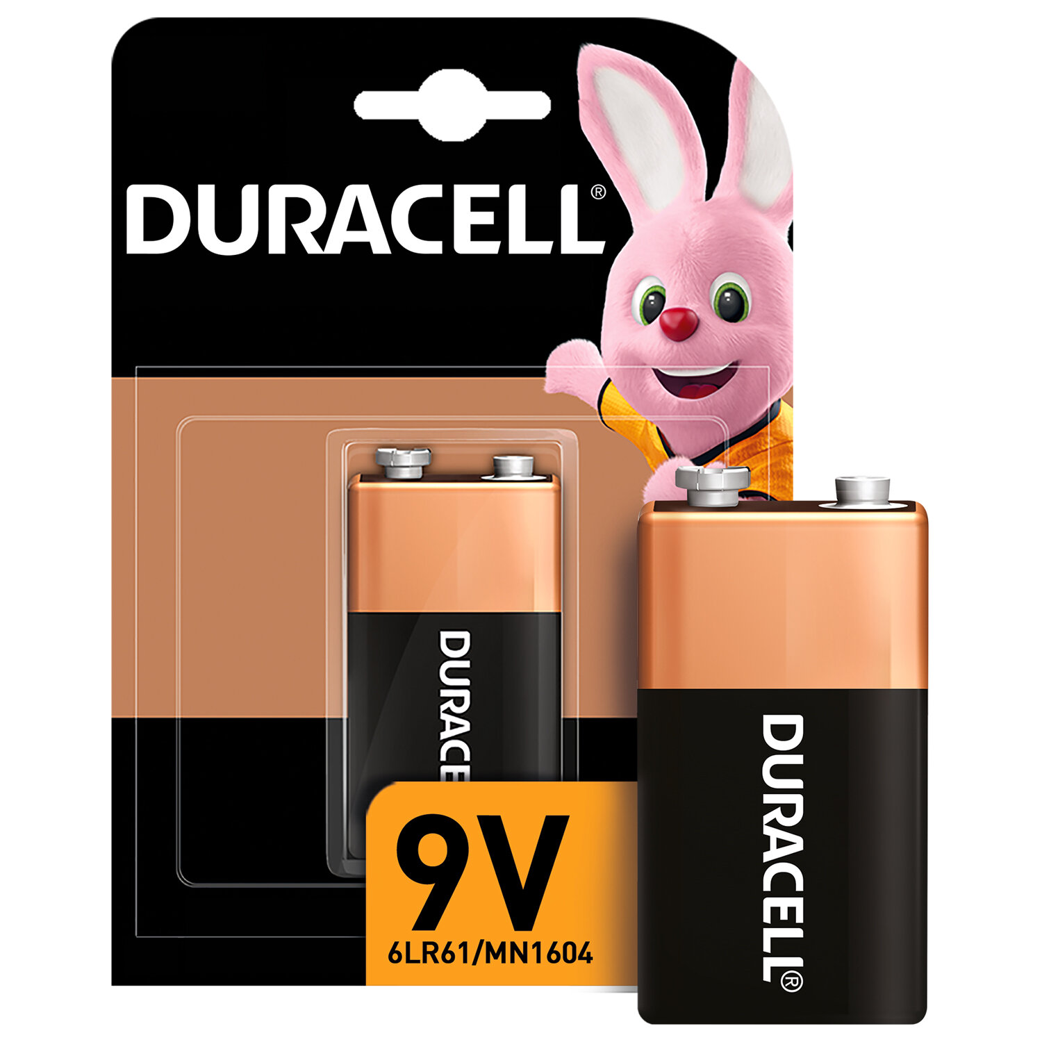 Duracell  DURACELL Basic, 6LR61 () 450427, Alkaline, 1 .,  , 9 ,  2 .