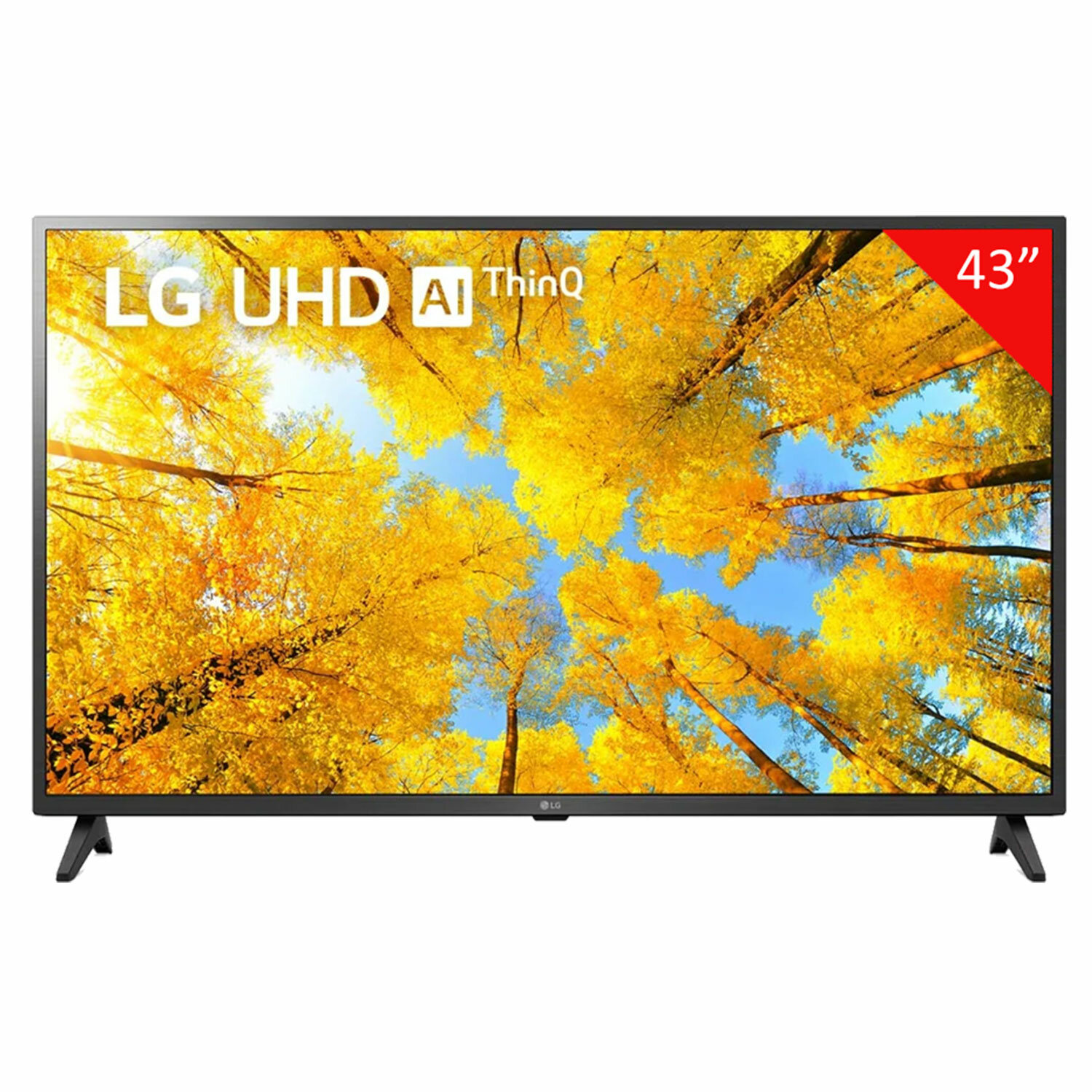 LG  LG 456468
