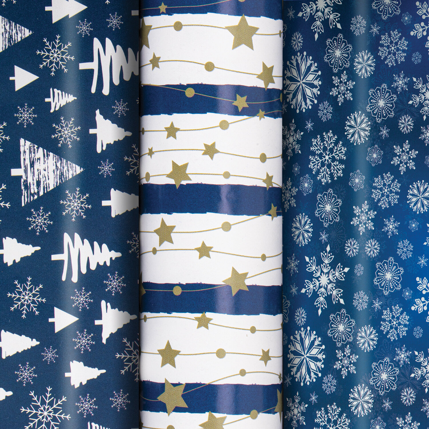 ������ ������� ������ 592058, �������� 4 ��.