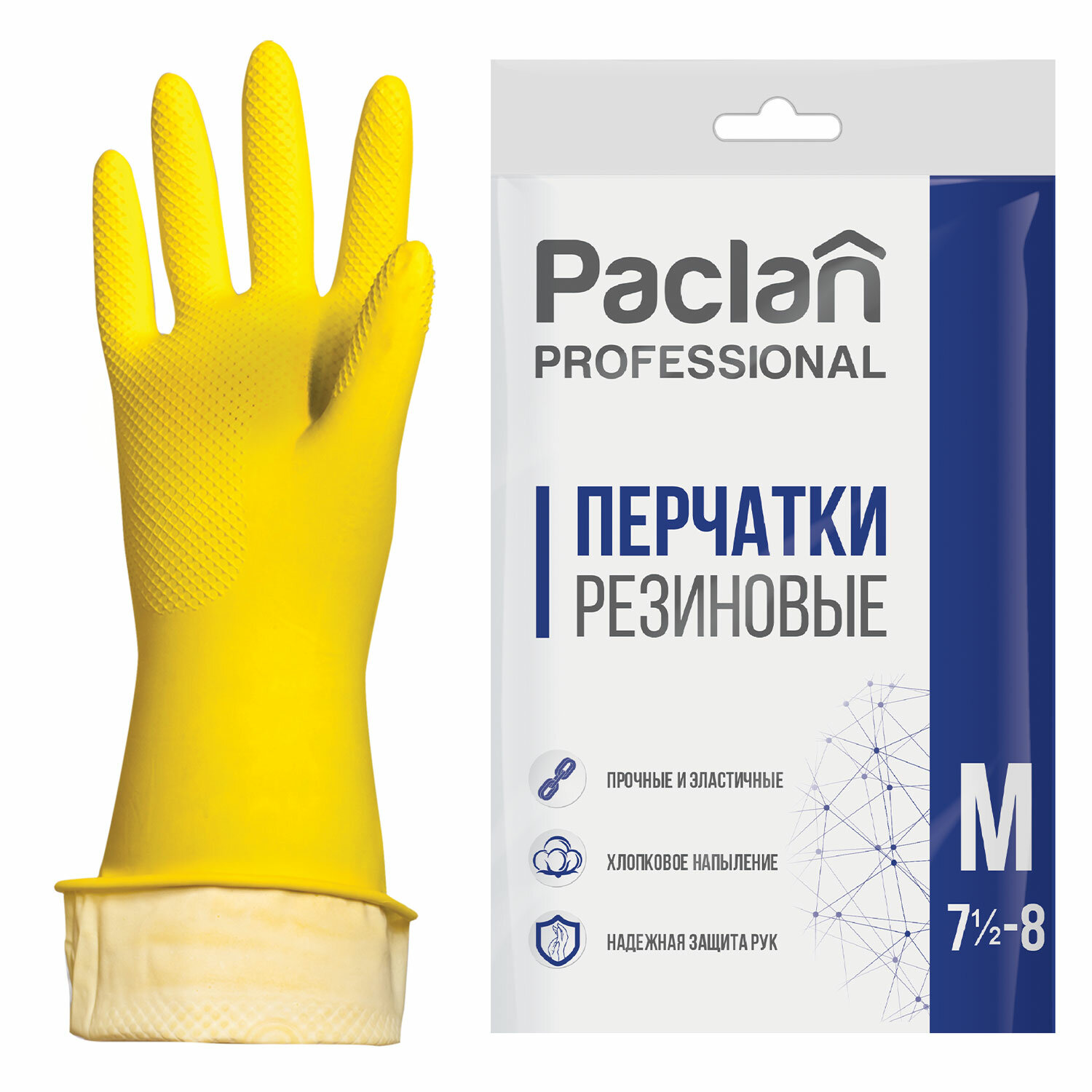 PACLAN    PACLAN Professional / ,  M (), ,  15 