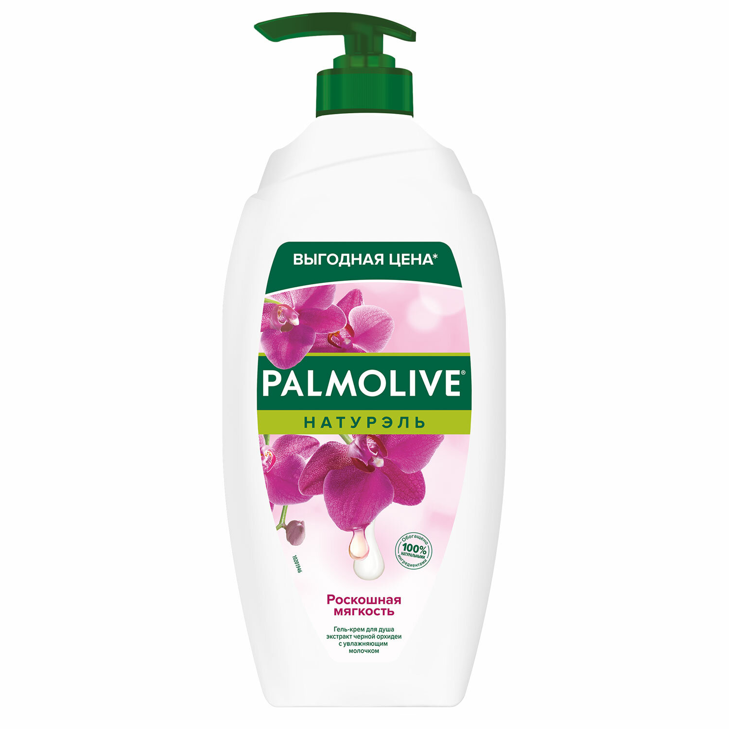 PALMOLIVE  PALMOLIVE 609037