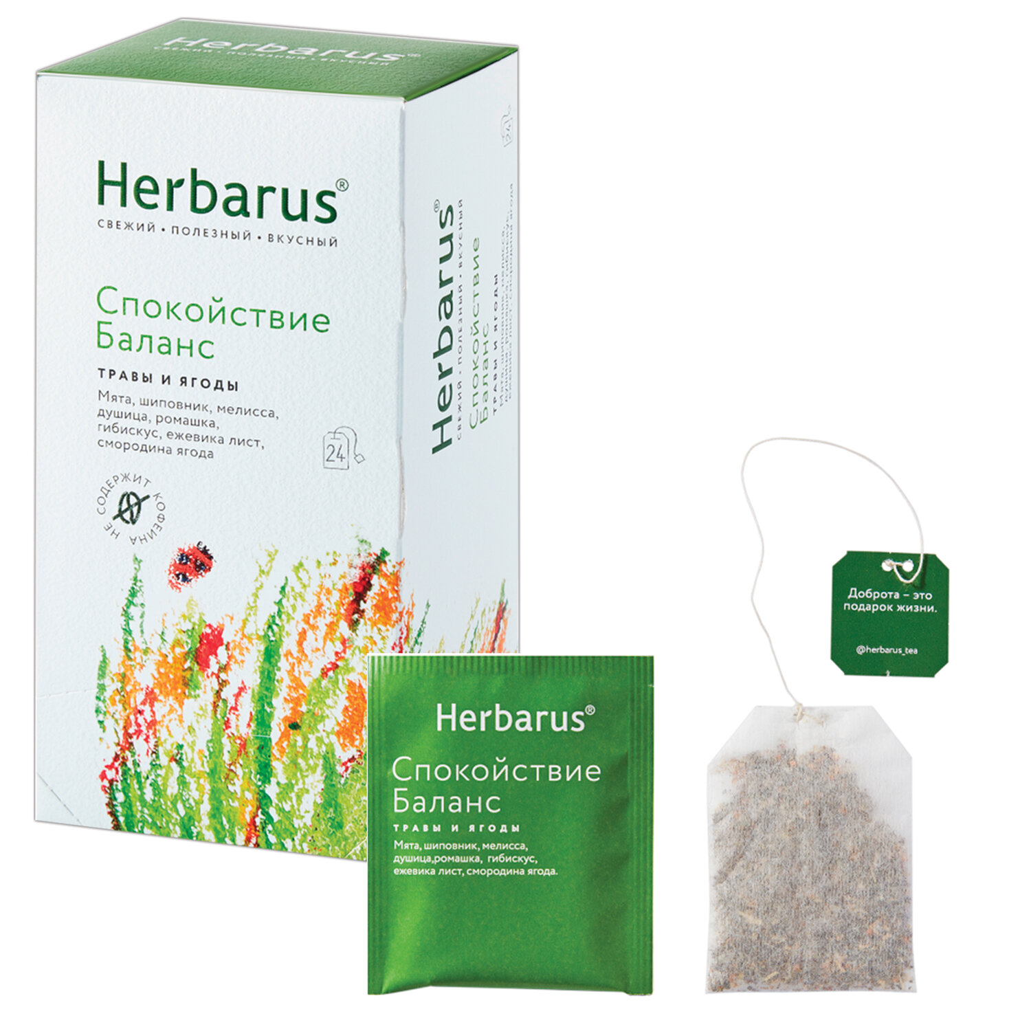  HERBARUS 623258,  2 .