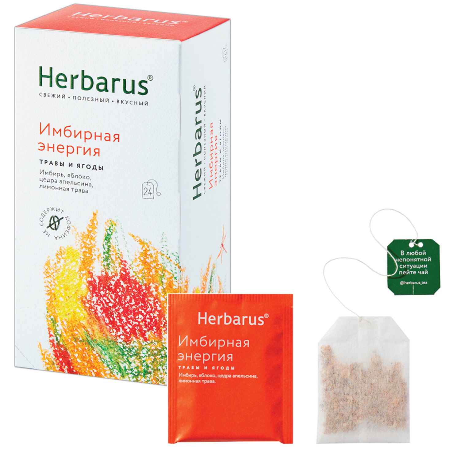  HERBARUS 623260,  2 .