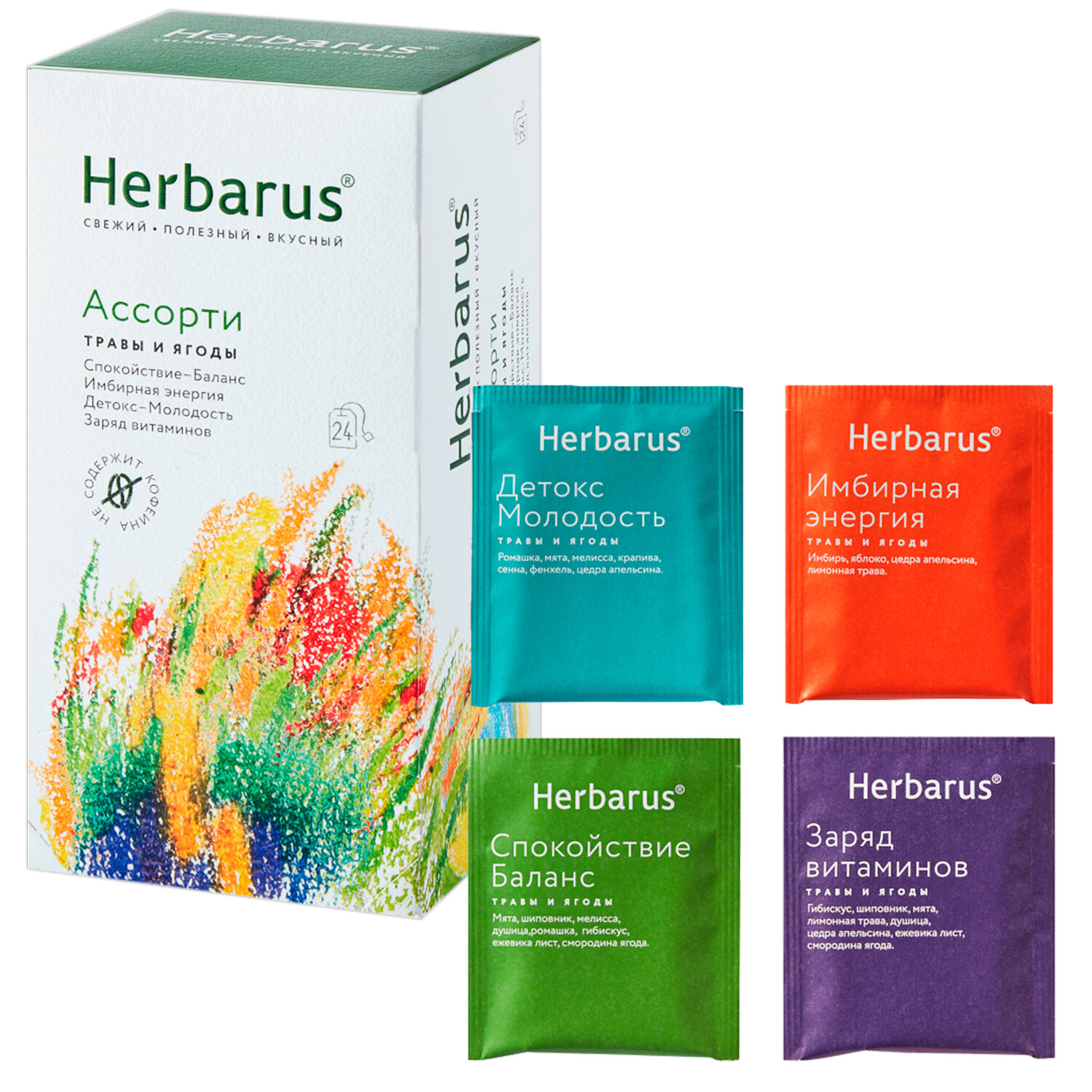  HERBARUS 623261,  2 .
