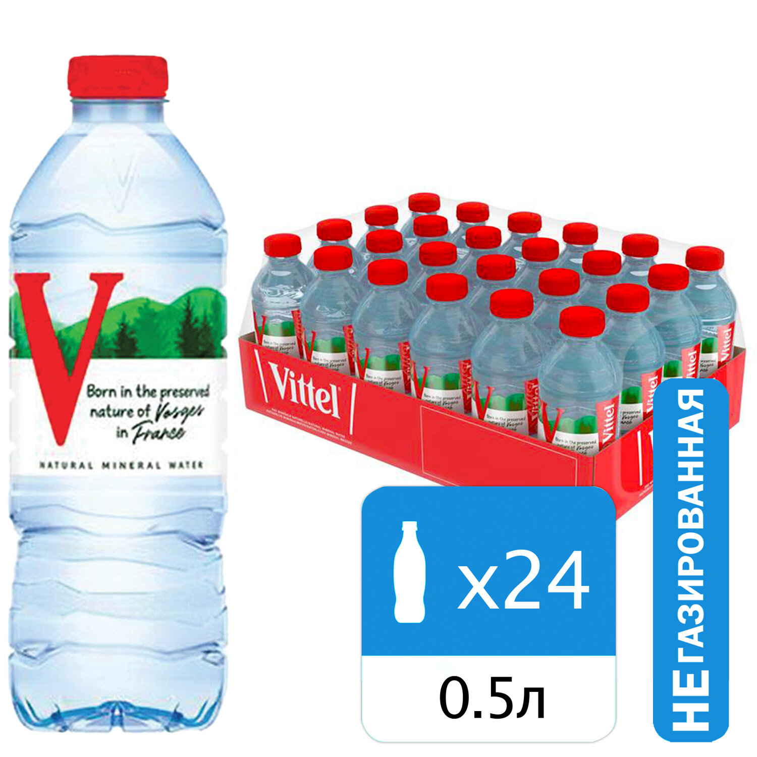 ���� VITTEL 623608, �������� 24 ��.