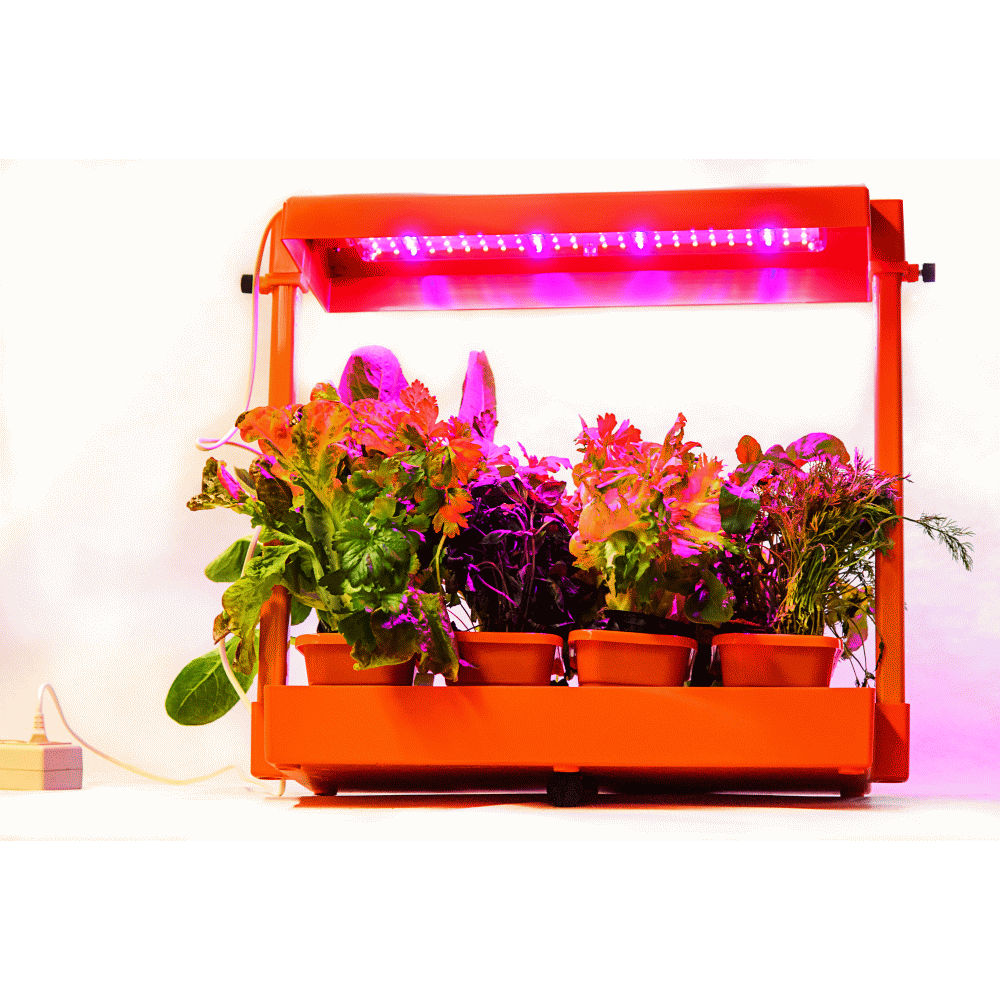 шкаф для растений с подсветкой