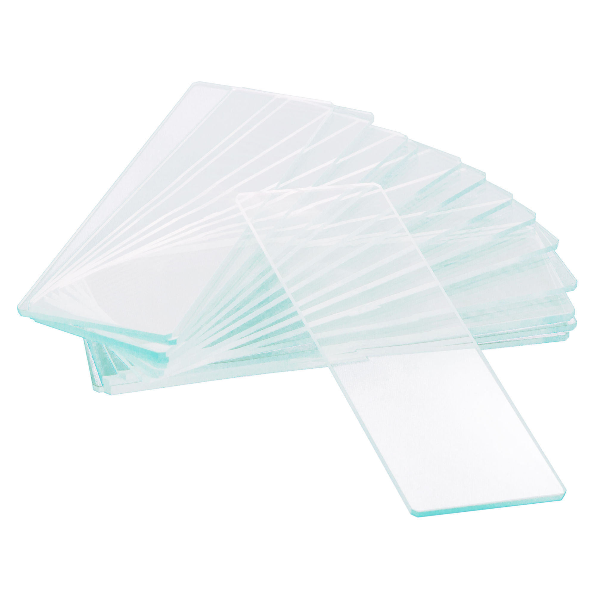     Levenhuk G50 1H, 50 .